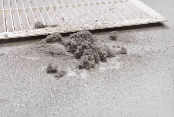 Best Air Vent Cleaning Services  in Kimball, NE