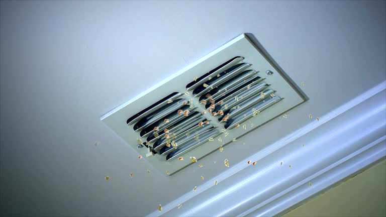 Best HVAC Duct Inspection Services  in Kimball, NE
